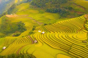 Hanoi – Sapa 2 Days 1 Night By Bus