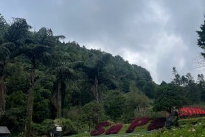 North Asia Travel Sapa 6